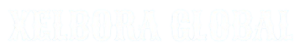xelboraglobal.com
